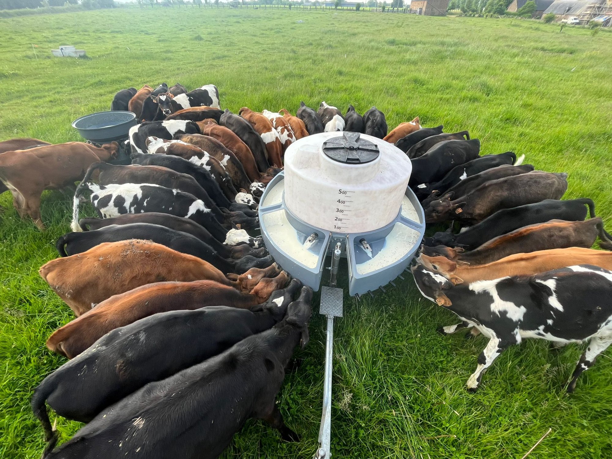 Complément au pré
